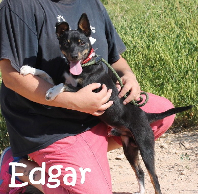 Edgar_IMG_9235_mN
