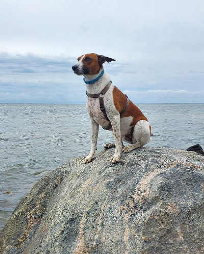 Ehemalige-20250809-WA0011