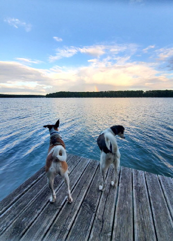 Ehemalige-20250809-WA0017 Ehemalige-20250809-WA0017