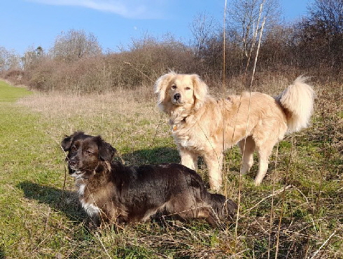 Ehemalige-20250809-WA0023