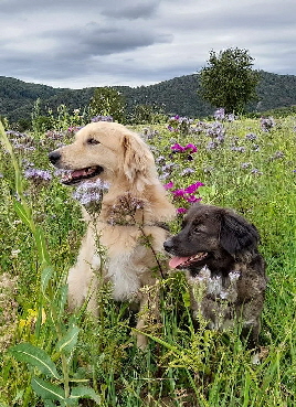 Ehemalige-20250809-WA0025 Ehemalige-20250809-WA0025