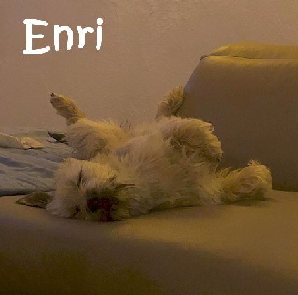 Enri_131695943_712982969595893_1065033861804867413_n_mN