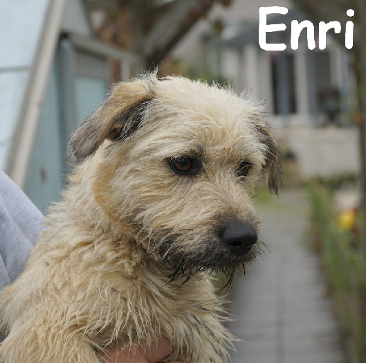 Enri_DSC04811_mN