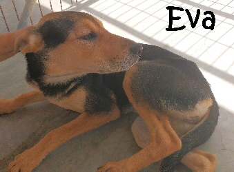 Eva_IMG_20160708_131343253