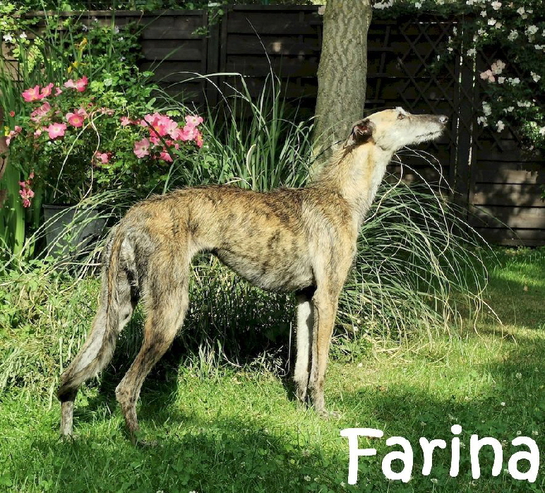 Fatima_IMG20210619171939_mN