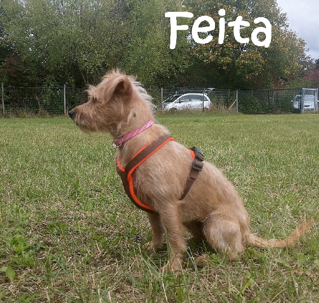 Feita_IMAG1278_mN