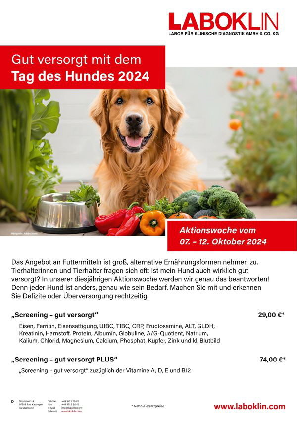 Flyer_Tag_des_Hundes_2024_A4_DE