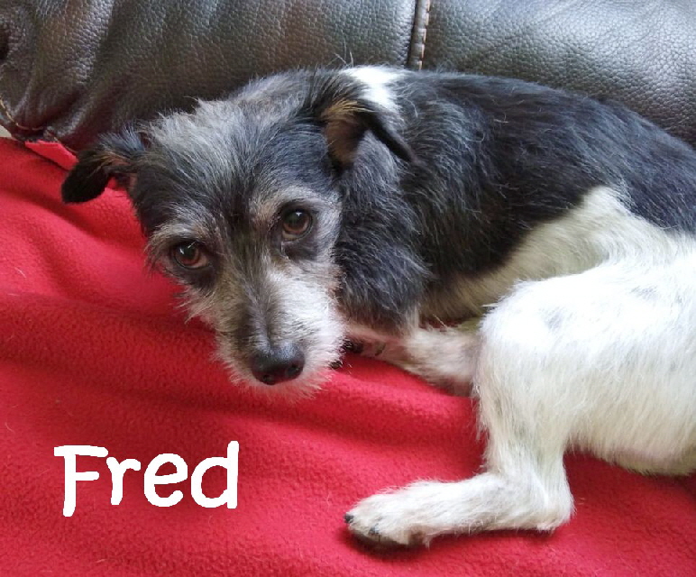 Fred_IMG-20180626-WA0001_mN