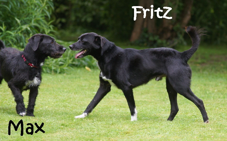 Fritz_DSC02822_mN