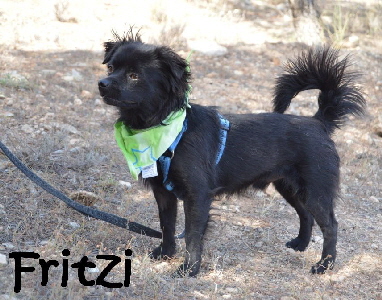 Fritzi_DSC_0770_mN Kopie