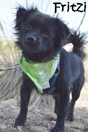 Fritzi_DSC_0808_mN