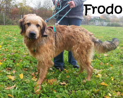 Frodo_20171028_103835_mN