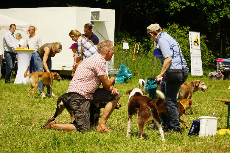 Fruehlingsfest_2019_DSC00733