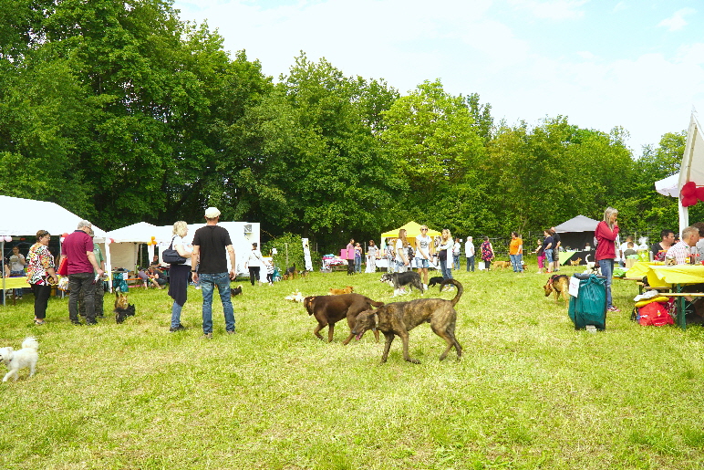 Fruehlingsfest_2019_DSC00797 - Kopie (2)