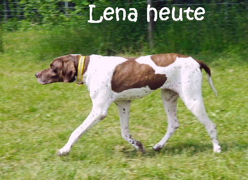 Fruehlingsfest_2019_DSC00847_mN