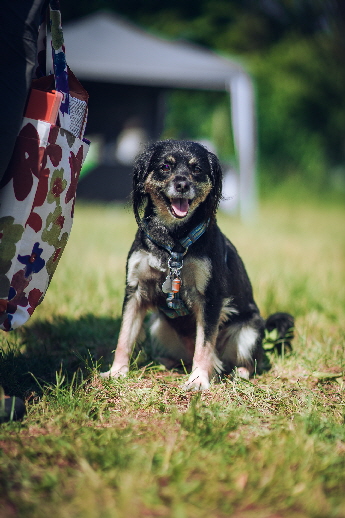 Fruehlingsfest_2019_Justin_DSC05790