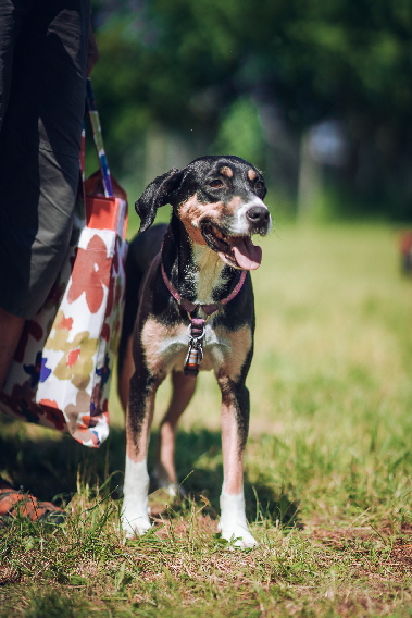 Fruehlingsfest_2019_Justin_DSC05794