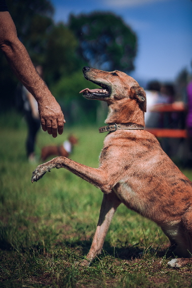 Fruehlingsfest_2019_Justin_DSC05798