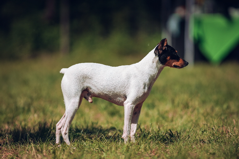 Fruehlingsfest_2019_Justin_DSC05840