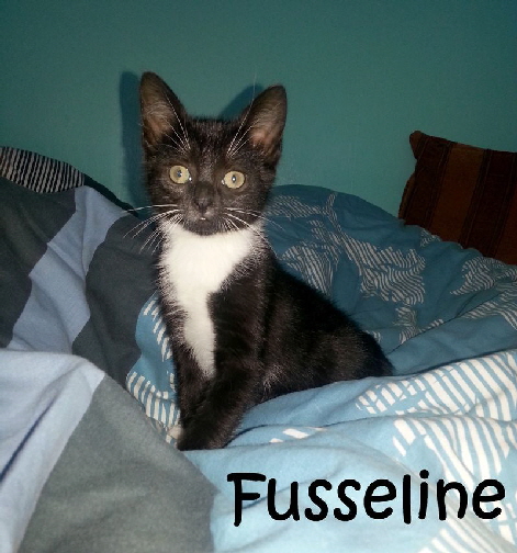 Fusseline_20170713_125204