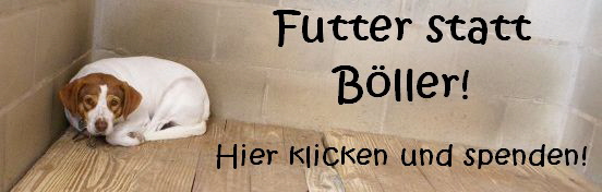 Futter_statt_Boeller