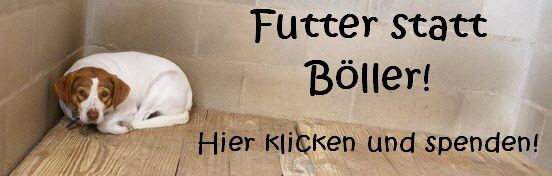 Futter_statt_Boeller