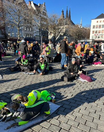 GalgoMarschKoeln_-20250201-WA0030