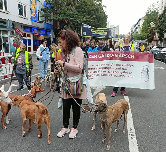 GalgoMarschMainz-20250928-WA0002 GalgoMarschMainz-20250928-WA0002