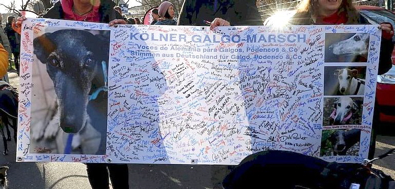 Galgomarsch_Kln_9941925