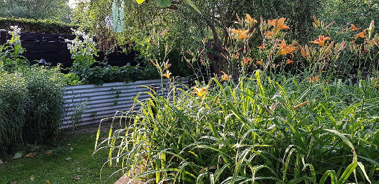 Garten_20200621_192618