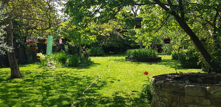 Garten_20220518_124759
