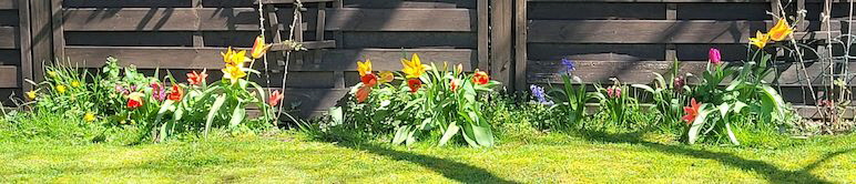 Garten_20230404_143310