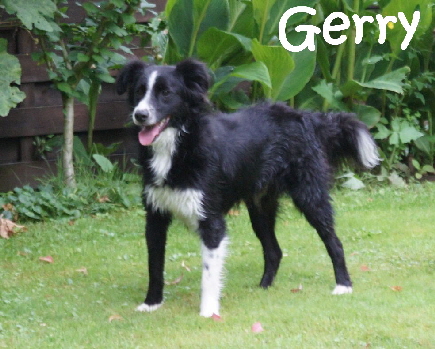 Gerry_DSC07515_mN