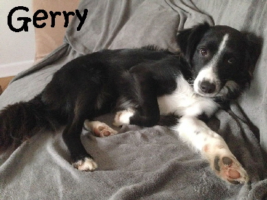 Gerry_IMG-20171024-WA0004_mN
