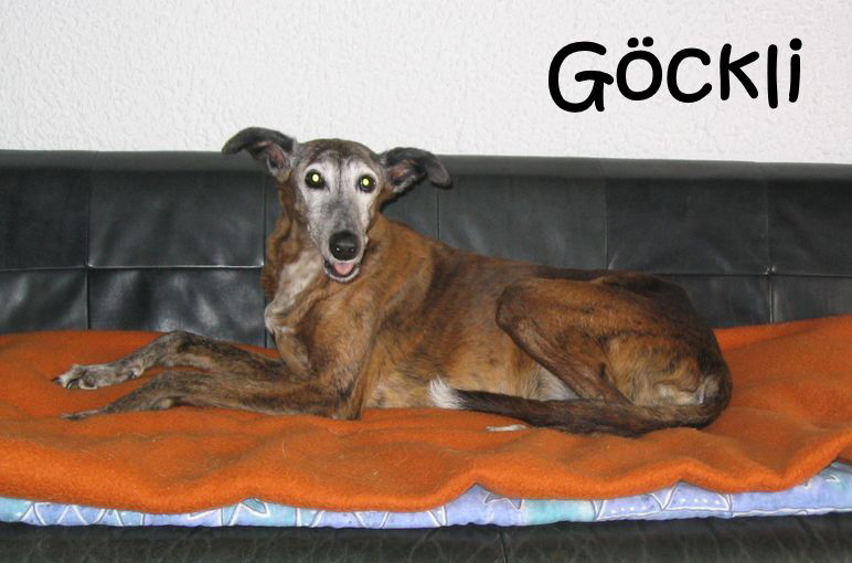 Goeckli 019 Goeckli 019