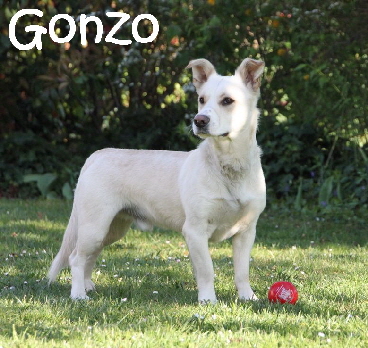 Gonzo_Connor_IMG_2280_mN