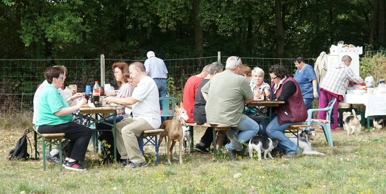 Grillen_Sep2018_DSC05392