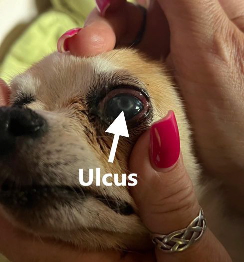 Gulliver-20250612-WA0006 Gulliver-20250612-WA0006