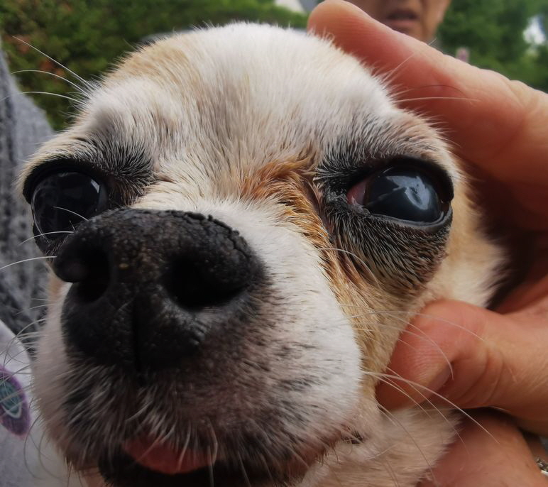 Gulliver_20250609_110651 Gulliver_20250609_110651