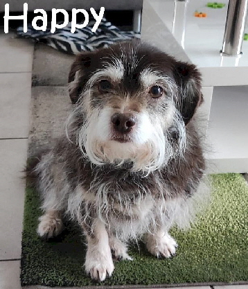 Happy_IMG-20230107-WA0000_mN
