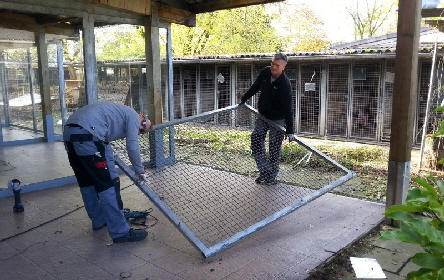 Heilbronn_Tierheim_20141108_113554