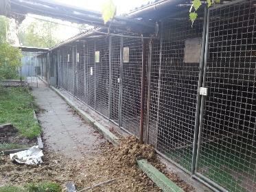 Heilbronn_Tierheim_20141108_162527