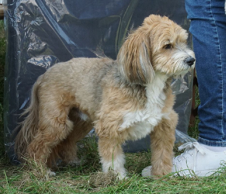 Herbstfest2021_DSC06540