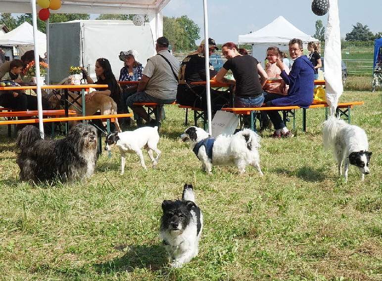 Herbstfest2021_DSC06569