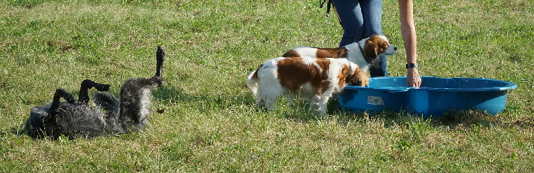 Herbstfest2021_DSC06725