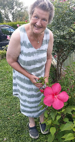 Hibiskus_Foto_20200823_161800