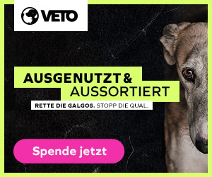 Homepagebanner_Galgo_300x250-2