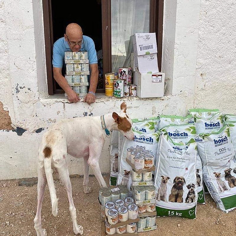 HopeForPodencos_119661481_2699153756989075_6779211469325335689_o