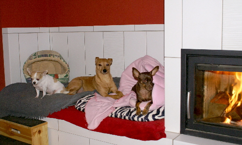 Hunde_am_Ofen_DSC00194