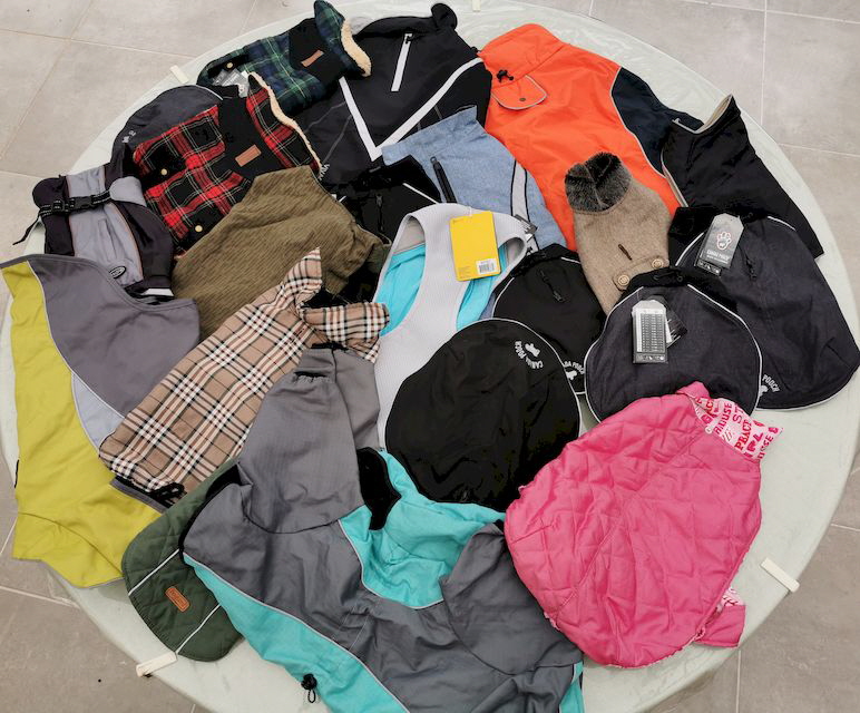 Hundejaeckchen_20230211_151915